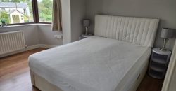 Apartment To Rent – 1 Bed – 1 Bath